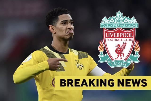 反应肉眼可 反应肉眼可